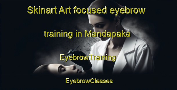 Skinart Art-focused eyebrow training in Mandapaka | EyebrowTraining | EyebrowClasses | SkinartTraining-India