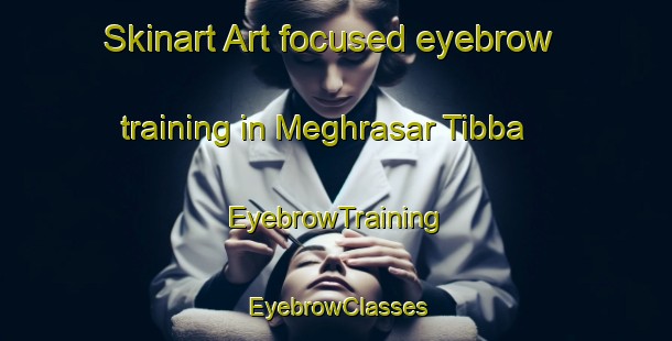 Skinart Art-focused eyebrow training in Meghrasar Tibba | EyebrowTraining | EyebrowClasses | SkinartTraining-India