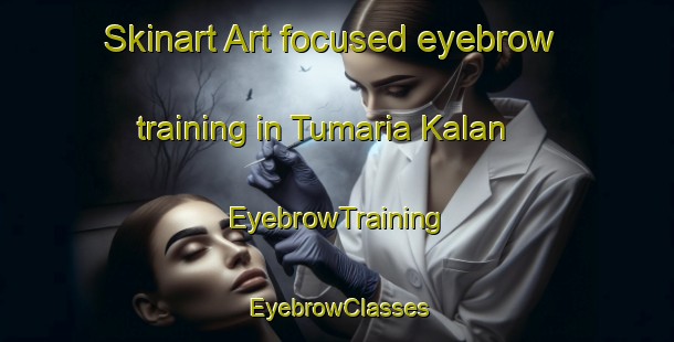 Skinart Art-focused eyebrow training in Tumaria Kalan | EyebrowTraining | EyebrowClasses | SkinartTraining-India