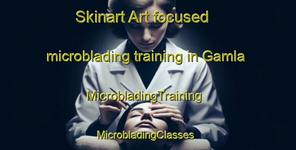 Skinart Art-focused microblading training in Gamla | MicrobladingTraining | MicrobladingClasses | SkinartTraining-India