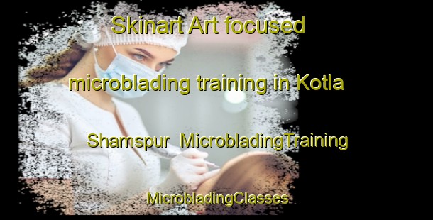 Skinart Art-focused microblading training in Kotla Shamspur | #MicrobladingTraining #MicrobladingClasses #SkinartTraining-India