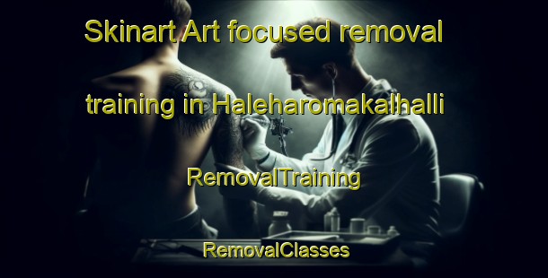 Skinart Art-focused removal training in Haleharomakalhalli | RemovalTraining | RemovalClasses | SkinartTraining-India