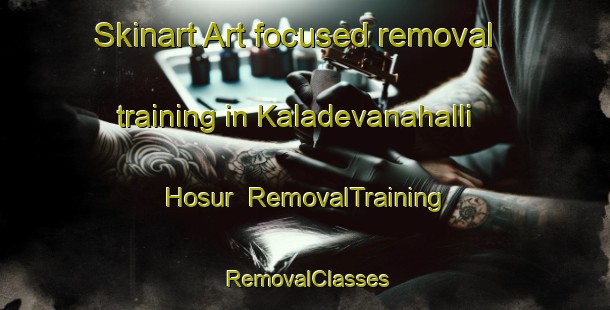 Skinart Art-focused removal training in Kaladevanahalli Hosur | RemovalTraining | RemovalClasses | SkinartTraining-India