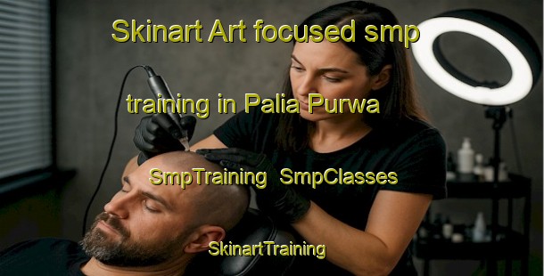 Skinart Art-focused smp training in Palia Purwa | SmpTraining | SmpClasses | SkinartTraining-India