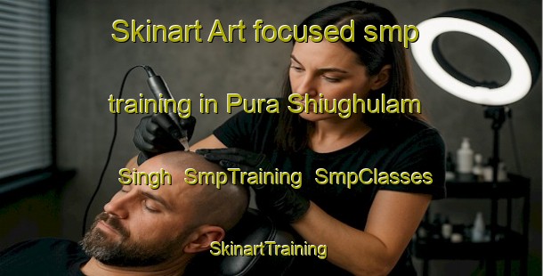 Skinart Art-focused smp training in Pura Shiughulam Singh | SmpTraining | SmpClasses | SkinartTraining-India