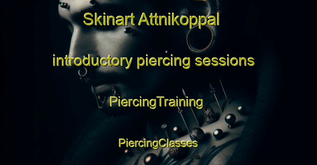 Skinart Attnikoppal introductory piercing sessions | #PiercingTraining #PiercingClasses #SkinartTraining-India