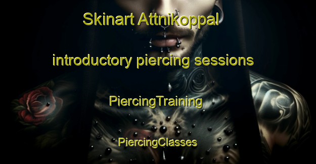 Skinart Attnikoppal introductory piercing sessions | #PiercingTraining #PiercingClasses #SkinartTraining-India