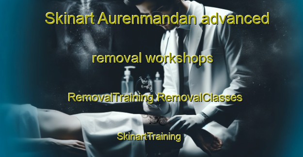 Skinart Aurenmandan advanced removal workshops | #RemovalTraining #RemovalClasses #SkinartTraining-India