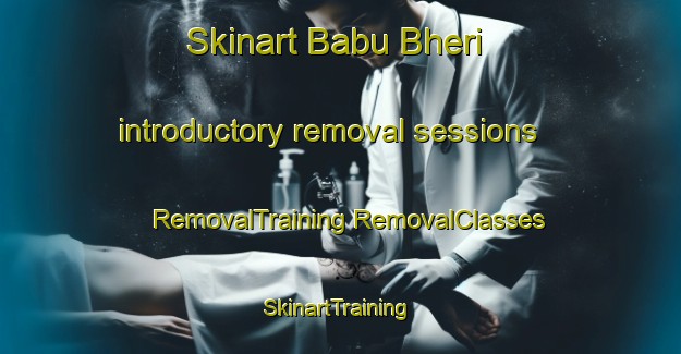 Skinart Babu Bheri introductory removal sessions | #RemovalTraining #RemovalClasses #SkinartTraining-India