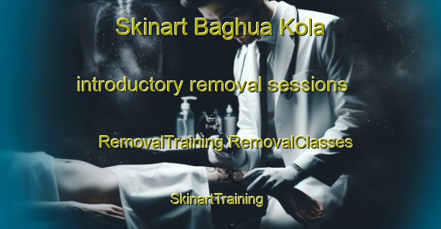 Skinart Baghua Kola introductory removal sessions | #RemovalTraining #RemovalClasses #SkinartTraining-India