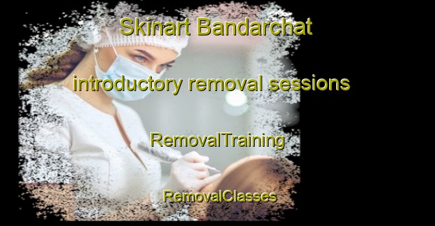 Skinart Bandarchat introductory removal sessions | RemovalTraining | RemovalClasses | SkinartTraining-India