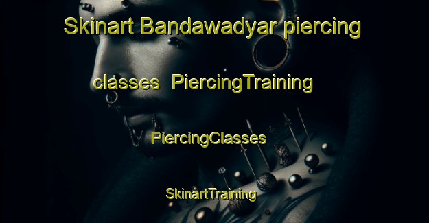 Skinart Bandawadyar piercing classes | PiercingTraining | PiercingClasses | SkinartTraining-India