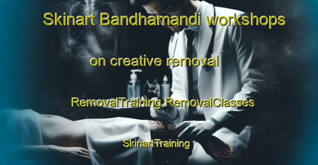 Skinart Bandhamandi workshops on creative removal | #RemovalTraining #RemovalClasses #SkinartTraining-India