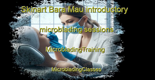 Skinart Bara Mau introductory microblading sessions | MicrobladingTraining | MicrobladingClasses | SkinartTraining-India