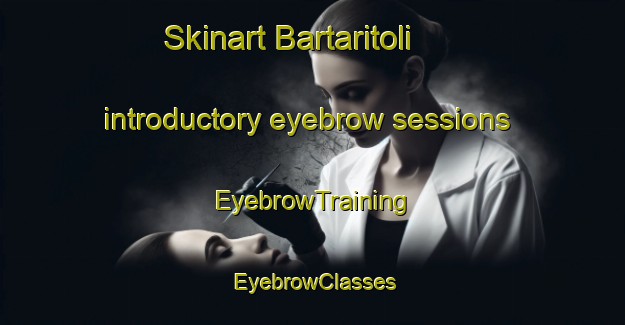 Skinart Bartaritoli introductory eyebrow sessions | EyebrowTraining | EyebrowClasses | SkinartTraining-India