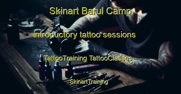 Skinart Barul Camp introductory tattoo sessions | #TattooTraining #TattooClasses #SkinartTraining-India