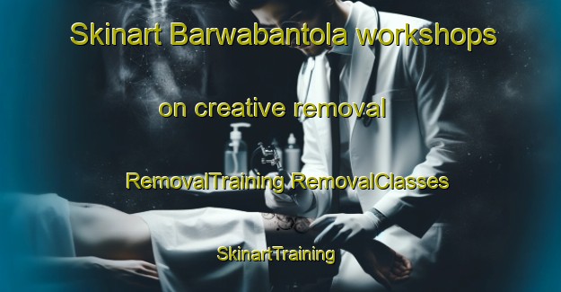 Skinart Barwabantola workshops on creative removal | #RemovalTraining #RemovalClasses #SkinartTraining-India