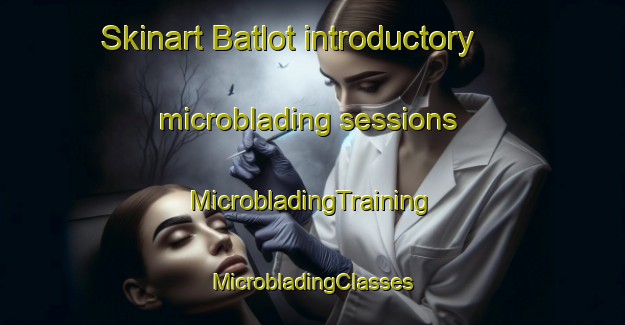 Skinart Batlot introductory microblading sessions | #MicrobladingTraining #MicrobladingClasses #SkinartTraining-India