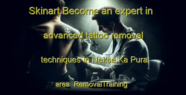 Skinart Become an expert in advanced tattoo removal techniques in Nekse Ka Pura area | RemovalTraining | RemovalClasses | SkinartTraining-India
