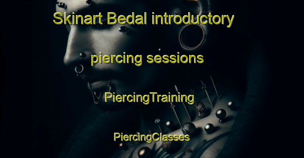 Skinart Bedal introductory piercing sessions | #PiercingTraining #PiercingClasses #SkinartTraining-India