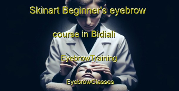 Skinart Beginner's eyebrow course in Bidiali | EyebrowTraining | EyebrowClasses | SkinartTraining-India