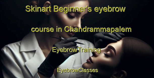 Skinart Beginner's eyebrow course in Chandrammapalem | EyebrowTraining | EyebrowClasses | SkinartTraining-India