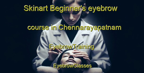 Skinart Beginner's eyebrow course in Chennarayapatnam | EyebrowTraining | EyebrowClasses | SkinartTraining-India