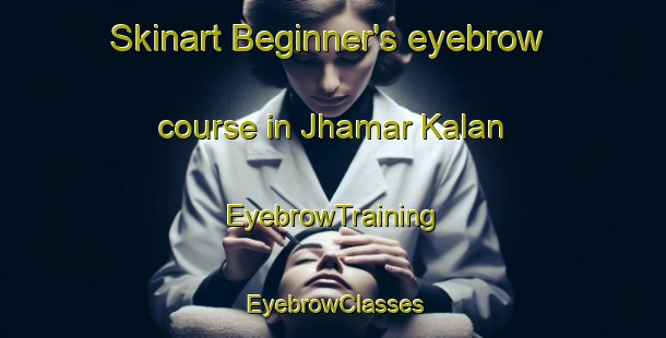 Skinart Beginner's eyebrow course in Jhamar Kalan | EyebrowTraining | EyebrowClasses | SkinartTraining-India