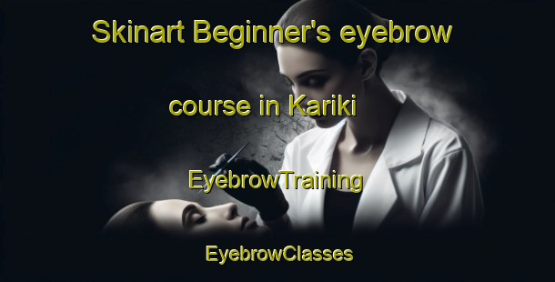 Skinart Beginner's eyebrow course in Kariki | EyebrowTraining | EyebrowClasses | SkinartTraining-India