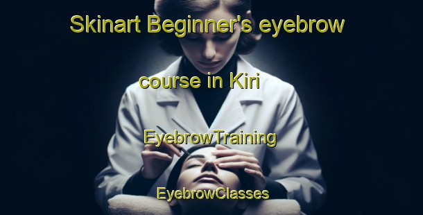 Skinart Beginner's eyebrow course in Kiri | EyebrowTraining | EyebrowClasses | SkinartTraining-India