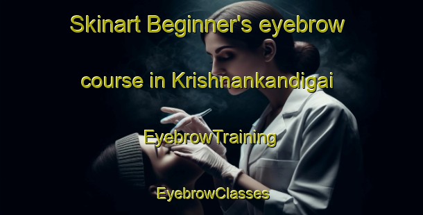 Skinart Beginner's eyebrow course in Krishnankandigai | EyebrowTraining | EyebrowClasses | SkinartTraining-India