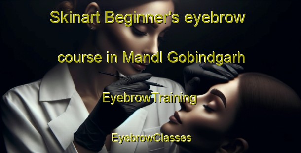 Skinart Beginner's eyebrow course in Mandl Gobindgarh | EyebrowTraining | EyebrowClasses | SkinartTraining-India