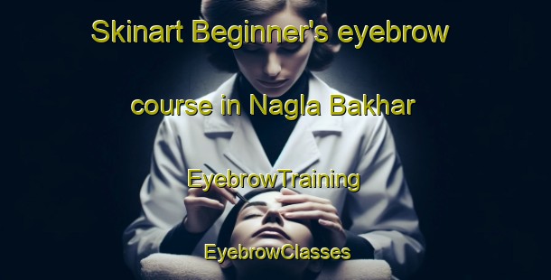 Skinart Beginner's eyebrow course in Nagla Bakhar | EyebrowTraining | EyebrowClasses | SkinartTraining-India