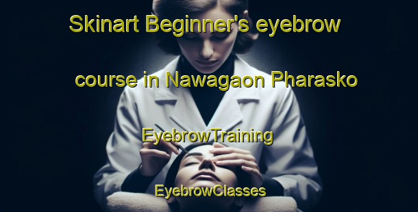 Skinart Beginner's eyebrow course in Nawagaon Pharasko | EyebrowTraining | EyebrowClasses | SkinartTraining-India