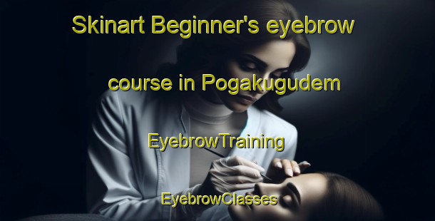 Skinart Beginner's eyebrow course in Pogakugudem | EyebrowTraining | EyebrowClasses | SkinartTraining-India