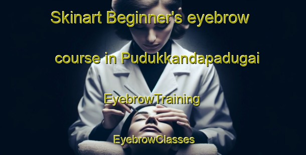 Skinart Beginner's eyebrow course in Pudukkandapadugai | EyebrowTraining | EyebrowClasses | SkinartTraining-India