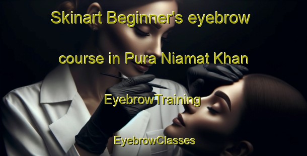 Skinart Beginner's eyebrow course in Pura Niamat Khan | EyebrowTraining | EyebrowClasses | SkinartTraining-India