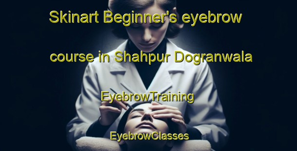 Skinart Beginner's eyebrow course in Shahpur Dogranwala | EyebrowTraining | EyebrowClasses | SkinartTraining-India
