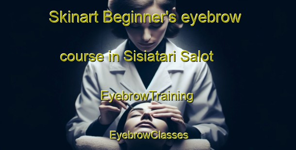 Skinart Beginner's eyebrow course in Sisiatari Salot | EyebrowTraining | EyebrowClasses | SkinartTraining-India