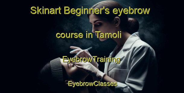Skinart Beginner's eyebrow course in Tamoli | EyebrowTraining | EyebrowClasses | SkinartTraining-India
