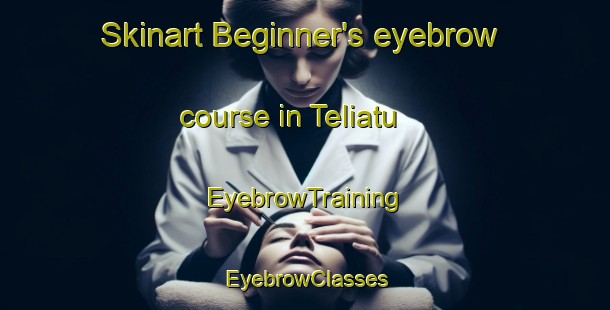 Skinart Beginner's eyebrow course in Teliatu | EyebrowTraining | EyebrowClasses | SkinartTraining-India