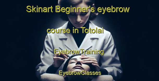 Skinart Beginner's eyebrow course in Totolai | EyebrowTraining | EyebrowClasses | SkinartTraining-India