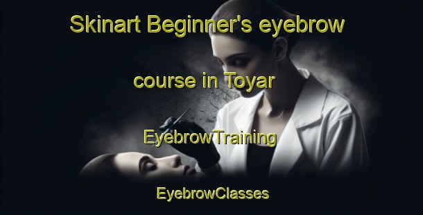 Skinart Beginner's eyebrow course in Toyar | EyebrowTraining | EyebrowClasses | SkinartTraining-India