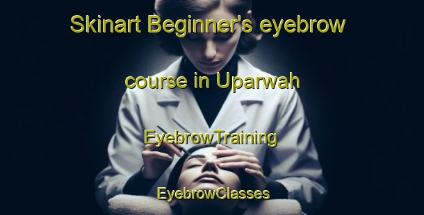 Skinart Beginner's eyebrow course in Uparwah | EyebrowTraining | EyebrowClasses | SkinartTraining-India