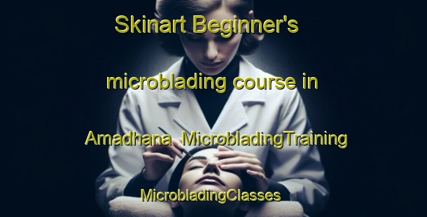 Skinart Beginner's microblading course in Amadhana | MicrobladingTraining | MicrobladingClasses | SkinartTraining-India