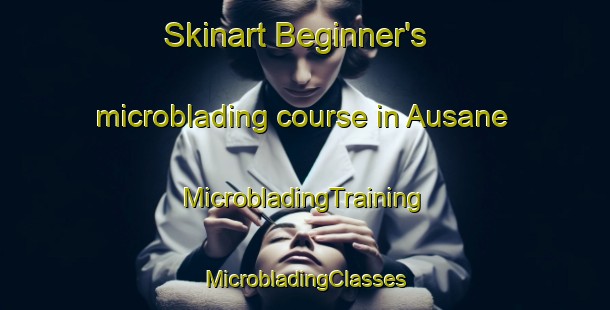 Skinart Beginner's microblading course in Ausane | #MicrobladingTraining #MicrobladingClasses #SkinartTraining-India