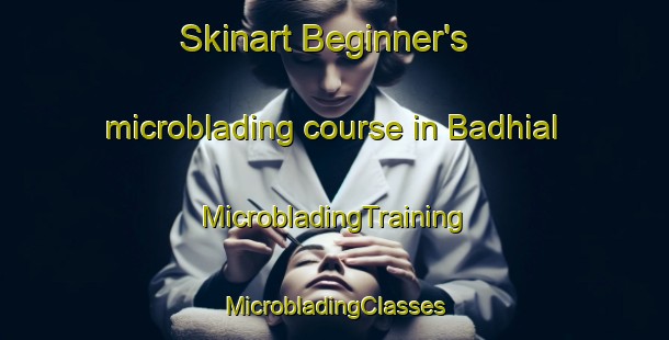 Skinart Beginner's microblading course in Badhial | #MicrobladingTraining #MicrobladingClasses #SkinartTraining-India