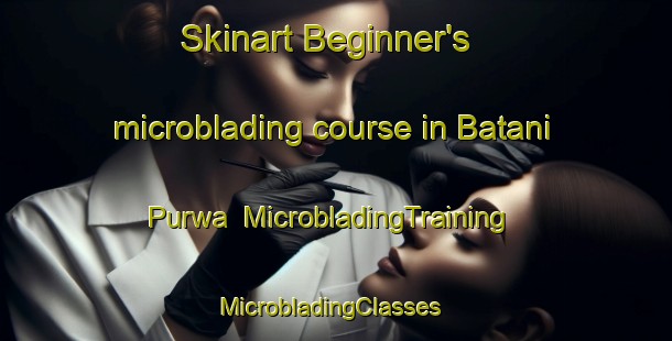 Skinart Beginner's microblading course in Batani Purwa | MicrobladingTraining | MicrobladingClasses | SkinartTraining-India