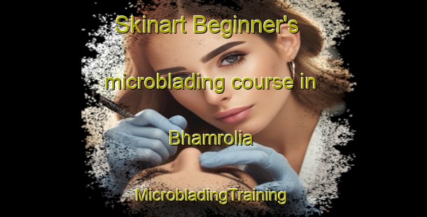 Skinart Beginner's microblading course in Bhamrolia | #MicrobladingTraining #MicrobladingClasses #SkinartTraining-India