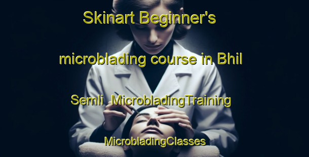 Skinart Beginner's microblading course in Bhil Semli | #MicrobladingTraining #MicrobladingClasses #SkinartTraining-India